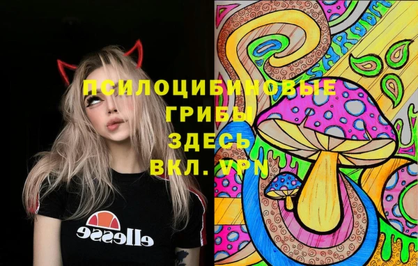 PSILOCYBIN Карпинск