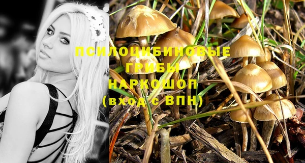 гидропоника Каменногорск