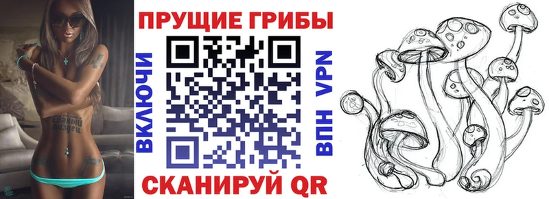 Галлюциногенные грибы Magic Shrooms  Купить где  Тогучин 